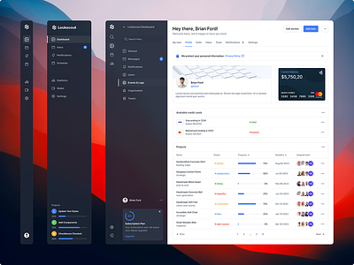 Dashboards - Lookscout Design System clean dashboard design layout ui user interface ux web application webapp